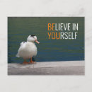 Recherche de canard blanc cartes postales Colvert