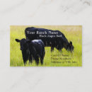 Recherche de angus noir cartes visite Taureau