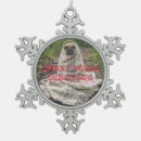 Recherche de froid ornements Drôle