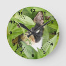 Recherche de cat horloges Calico