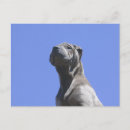 Zoek naar years briefkaarten Hond