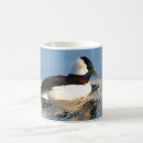 Recherche de canards sauvages tasses Oiseau sauvage