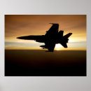 Zoek naar f18 hornet posters Luchtvaart