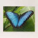 Recherche de morpho puzzles Nature