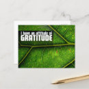 Recherche de gratitude cartes postales Affirmation