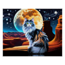 Recherche de calico cat posters Chat
