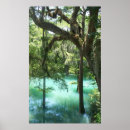 Recherche de eau de puits Forêt