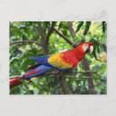 Recherche de arbres cartes postales Multicolore
