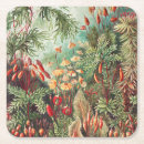 Recherche de haeckel dessous de verres Kunstformen der natur