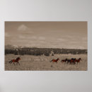 Recherche de chevaux sauvages posters Mustang