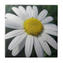 Recherche de grossesse carreaux Fleur