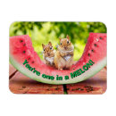 Recherche de piqué magnets Humour