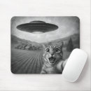 Recherche de ufo drôle tapis souris Chaton