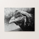 Recherche de chicken puzzles Animal