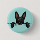 Recherche de berger badges Berger allemand noir