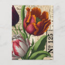 Zoek naar tulp vintage briefkaarten Bloemen