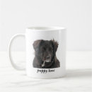 Recherche de puppy tasses Amour chiot