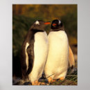 Recherche de territoire posters Antarctique