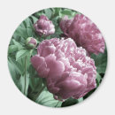 Recherche de pivoine magnets Floral