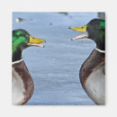 Recherche de canard drôle magnets Sourire