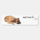 Recherche de chien boxeur voiture autocollants Animal familier