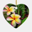 Recherche de plumeria ornements Nature