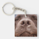 Recherche de labrador porteclés Cute