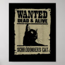 Zoek naar schrodinger kat posters Katten