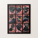 Recherche de gothiques puzzles Oiseaux