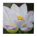 Zoek naar savanne tegels Flora