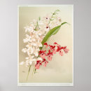 Recherche de orchidée tropicale posters Orchidées
