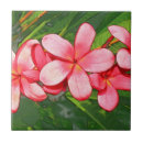 Zoek naar frangipani tegels Bloemen
