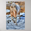 Zoek naar palomino paard posters Paardenfotografie