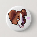 Recherche de berger australien badges Chiot
