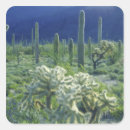 Recherche de pipe autocollants Paysage