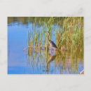 Recherche de tricolore français cartes postales Nature