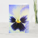 Zoek naar viooltje bloem kaarten Fotografie