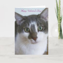 Zoek naar grijze kat kaarten Ik hou van je