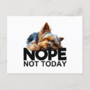 Recherche de terrier de yorkshire cartes postales Dog