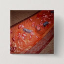 Recherche de microscopique badges Horizontal