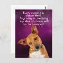 Recherche de chiens drôles cartes postales Amoureux des chiens