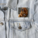 Recherche de lion de bébé badges Animaux mignons