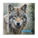 Recherche de loups carreaux Contenu générationnel