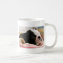 Recherche de petit somme tasses Sommeil