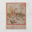 Recherche de potager posters Récolte