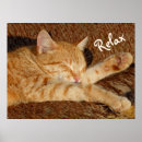 Recherche de siesta posters Sommeil