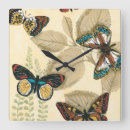 Recherche de papillon horloges Nature