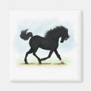 Zoek naar zwart paard magneten Pony