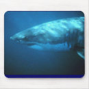 Recherche de grand requin blanc tapis souris Poissons