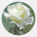 Recherche de stupéfiant autocollants Fleur